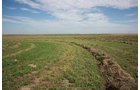 Property photo 104 - LAND AUCTION, 3255+/- Acres offered in 13 Tracts
